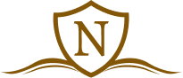 Logo Noemi